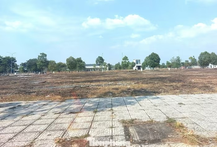 Dự án từng được kỳ vọng là ‘mỏ vàng’ của vợ chồng bà Nguyễn Phương Hằng: Nhiều hạng mục xuống cấp, hoang tàn đến khó tin- Ảnh 2. Dự án từng được kỳ vọng là ‘mỏ vàng’ của vợ chồng bà Nguyễn Phương Hằng: Nhiều hạng mục xuống cấp, hoang tàn đến khó tin- Ảnh 2.