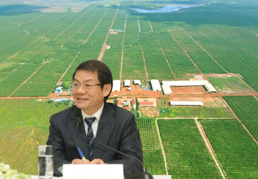 Sau 1 năm nghiên cứu kỹ lưỡng, THACO chính thức đề xuất đầu tư dự án nông nghiệp trên độ cao 1.500m