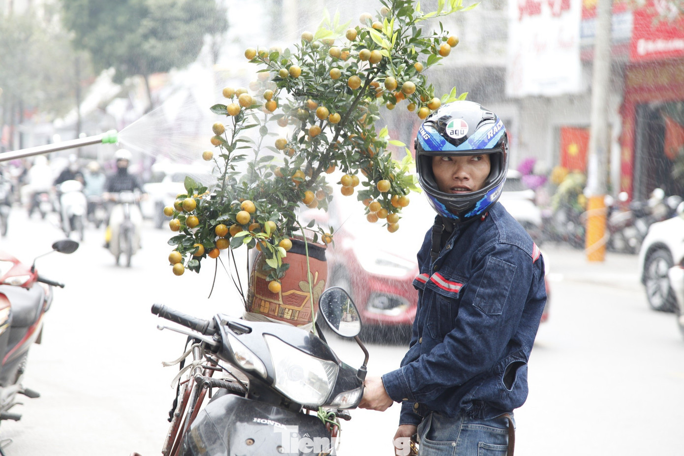 Anh Ngô Văn Phong có hơn 10 năm chở quất đào thuê dịp Tết. tp-3.jpg