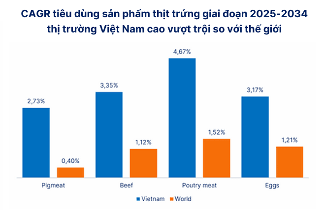 Ảnh chụp màn hình 2026-02-07 104556