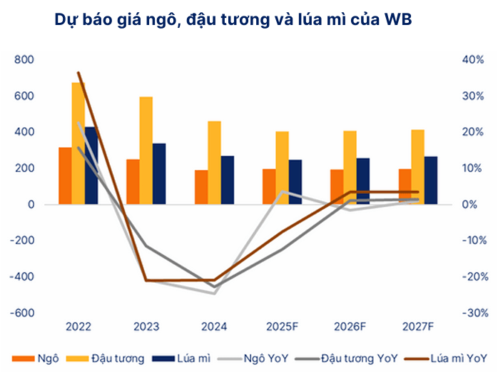 Ảnh chụp màn hình 2026-02-07 104734