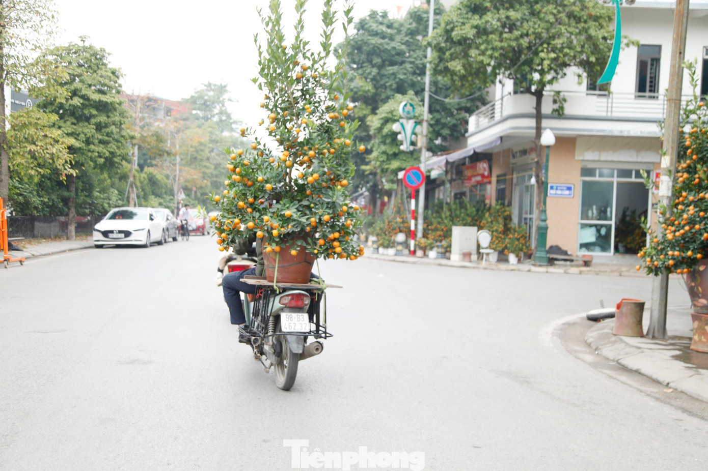 Người chở quất thuê kiếm tiền triệu mỗi ngày. tp-2.jpg