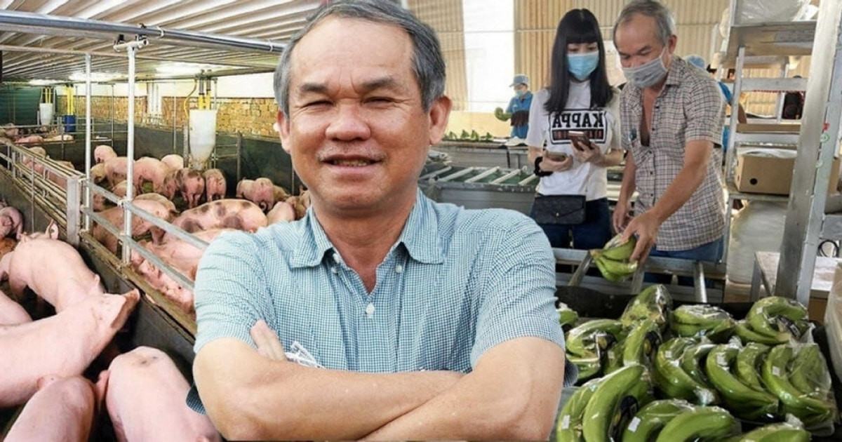 Bầu Đức thua lỗ đậm mảng heo ăn chuối và sự thật đằng sau khoản lãi ‘kếch xù’ vừa công bố