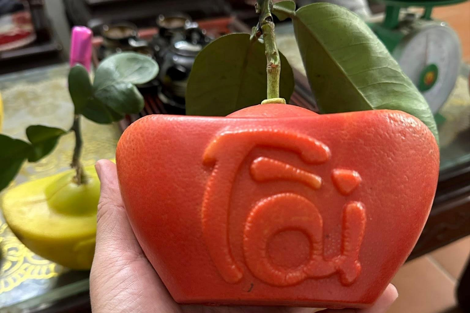 Giống bưởi lạ 'kéo khách' chốt đơn ùn ùn tại vườn và trên sóng livestream