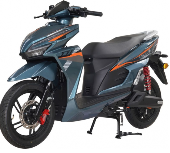 TAILG T71 Vario