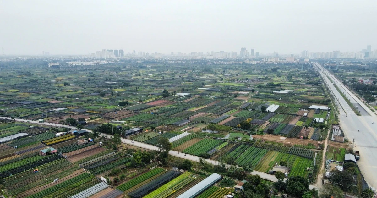 Dự án khu công nghệ cao sinh học hơn 1 tỷ đô được giao đất