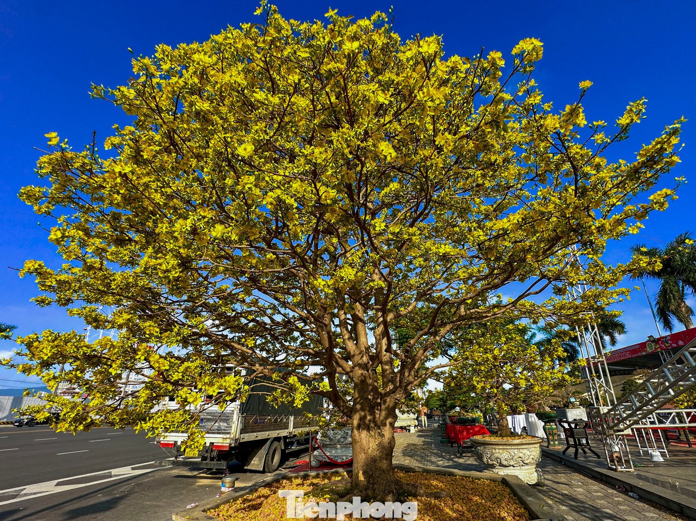 tp-maitetxuongpho-16.jpg