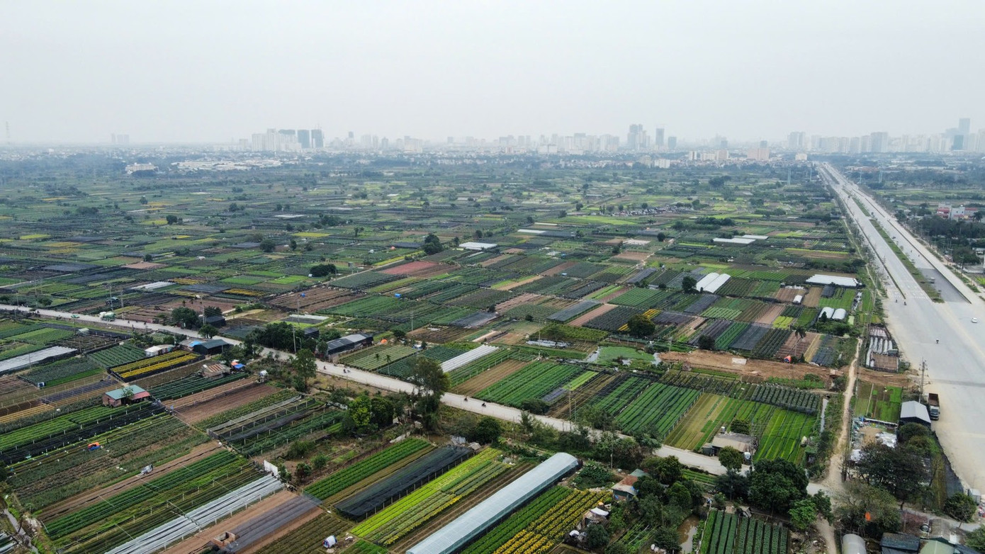 Khu đất được giao làm dự án tại phường Thượng Cát image.jpg