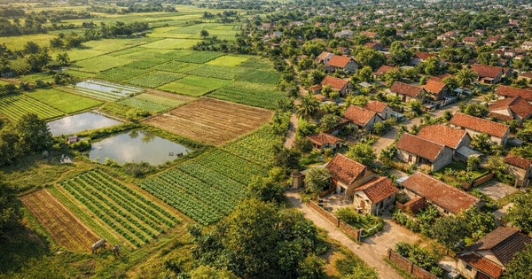 Kể từ nay, mức phí chuyển đổi đất nông nghiệp lên đất thổ cư sẽ giảm đáng kể