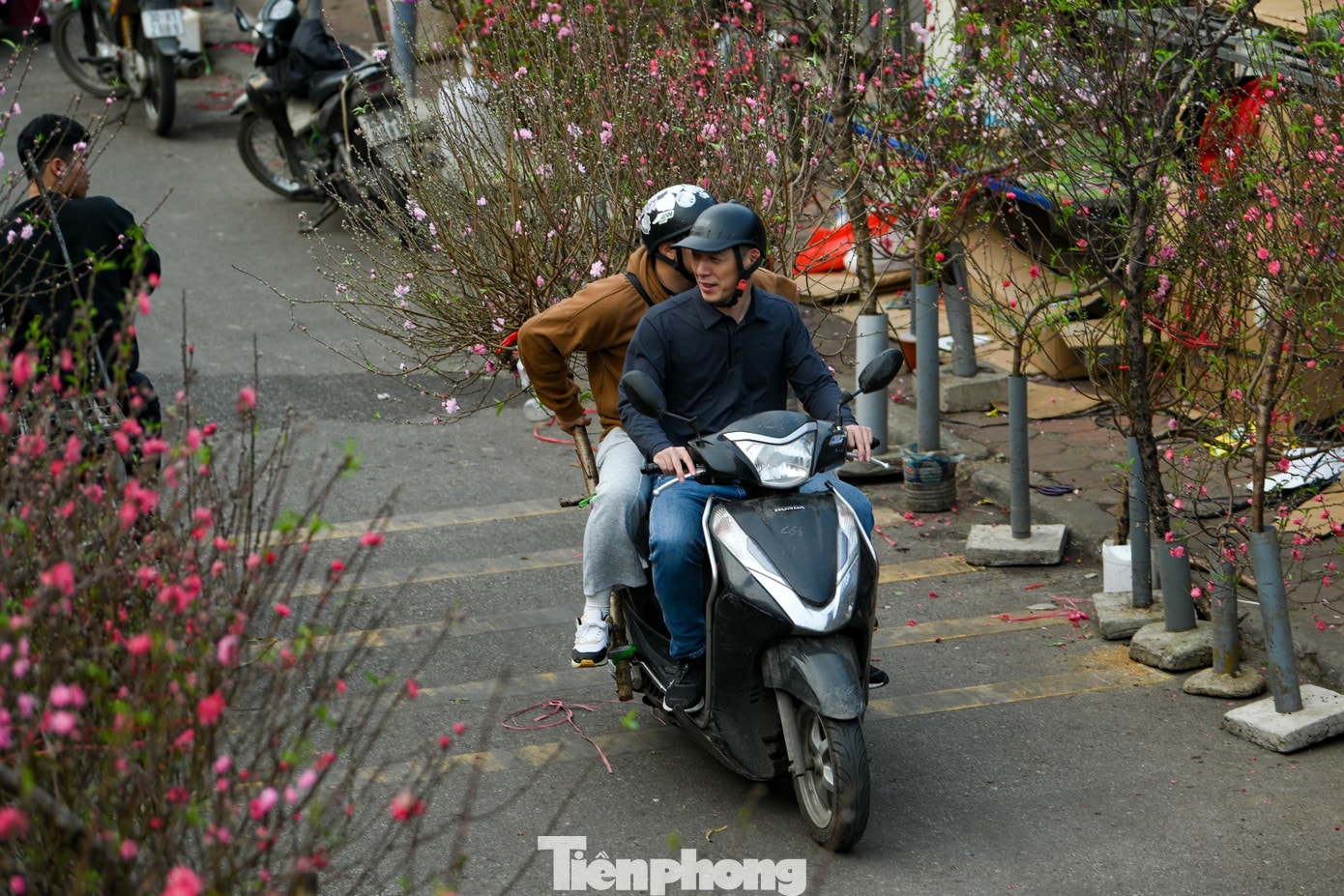 tp-dao-nhat-tan00004.jpg