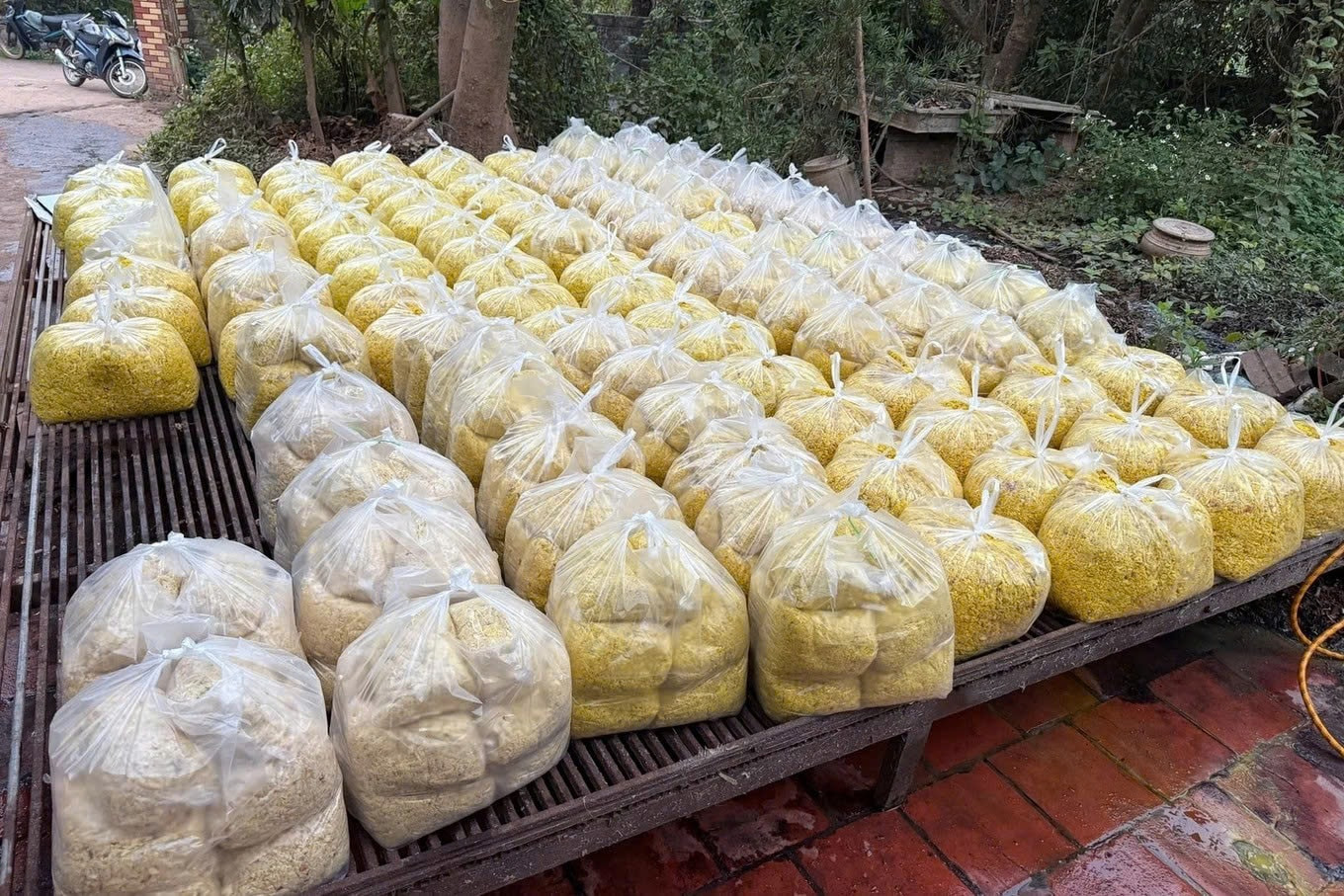 Đột kích cơ sở sản xuất, thu giữ gần 2 tấn riềng xay tẩm hóa chất gây ung thư, bắt khẩn cấp Nguyễn Văn Vinh