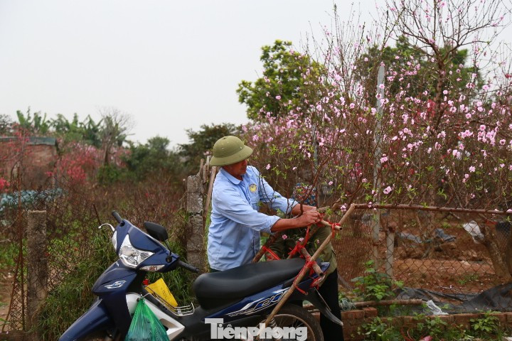 tp-2.jpg