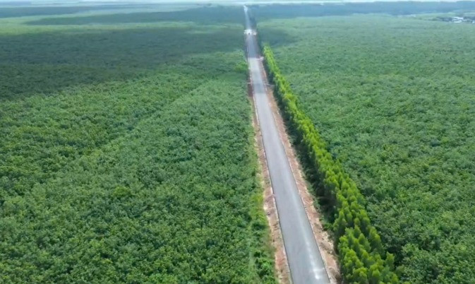 Sắp ‘lên đời’ tuyến đường hơn 80km đi xuyên vùng Đông Nam Bộ- Ảnh 1. Sắp ‘lên đời’ tuyến đường hơn 80km đi xuyên vùng Đông Nam Bộ- Ảnh 1.