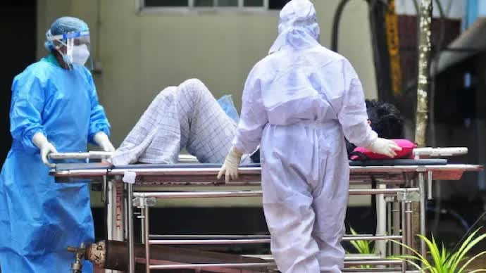 nipah2.jpg