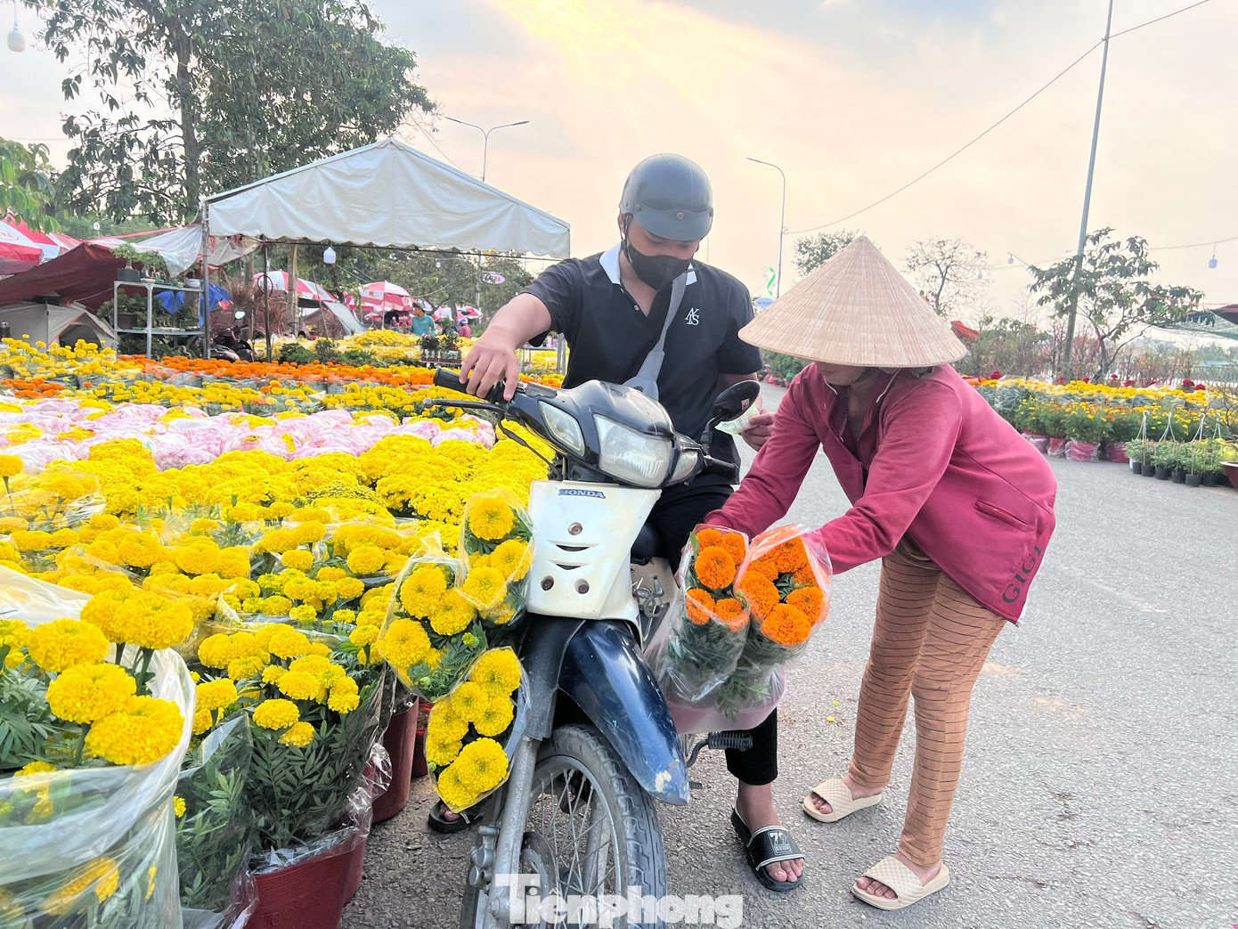Giá quá rẻ, khách mua luôn 5 chậu vạn thọ (chỉ 100.000 đồng) đủ các màu về trang trí nhà cửa đón Tết. Nhiều khách hàng cho biết, hoa đẹp và rẻ nên sẽ giới thiệu thêm bạn bè, người thân để ủng hộ nhà vườn bán mau hết hàng. tp-binh-dien-uyen-phuong-4.jpg