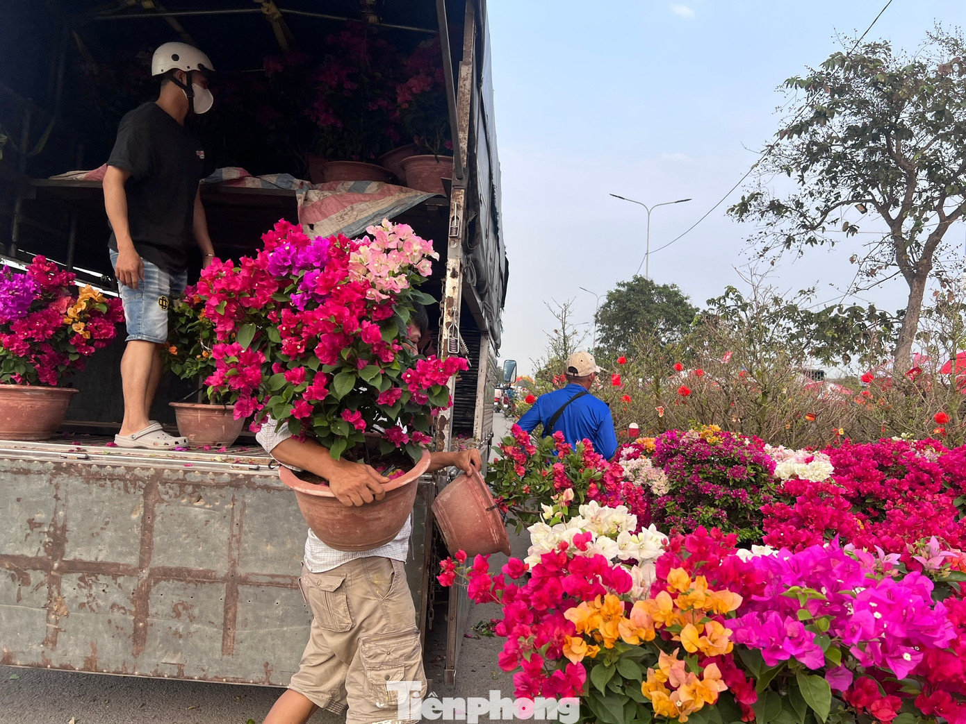 Hoa Tết được tiểu thương từ các tỉnh vận chuyển về TPHCM và liên tục xuống chợ tp-binh-dien-uyen-phuong-7.jpg