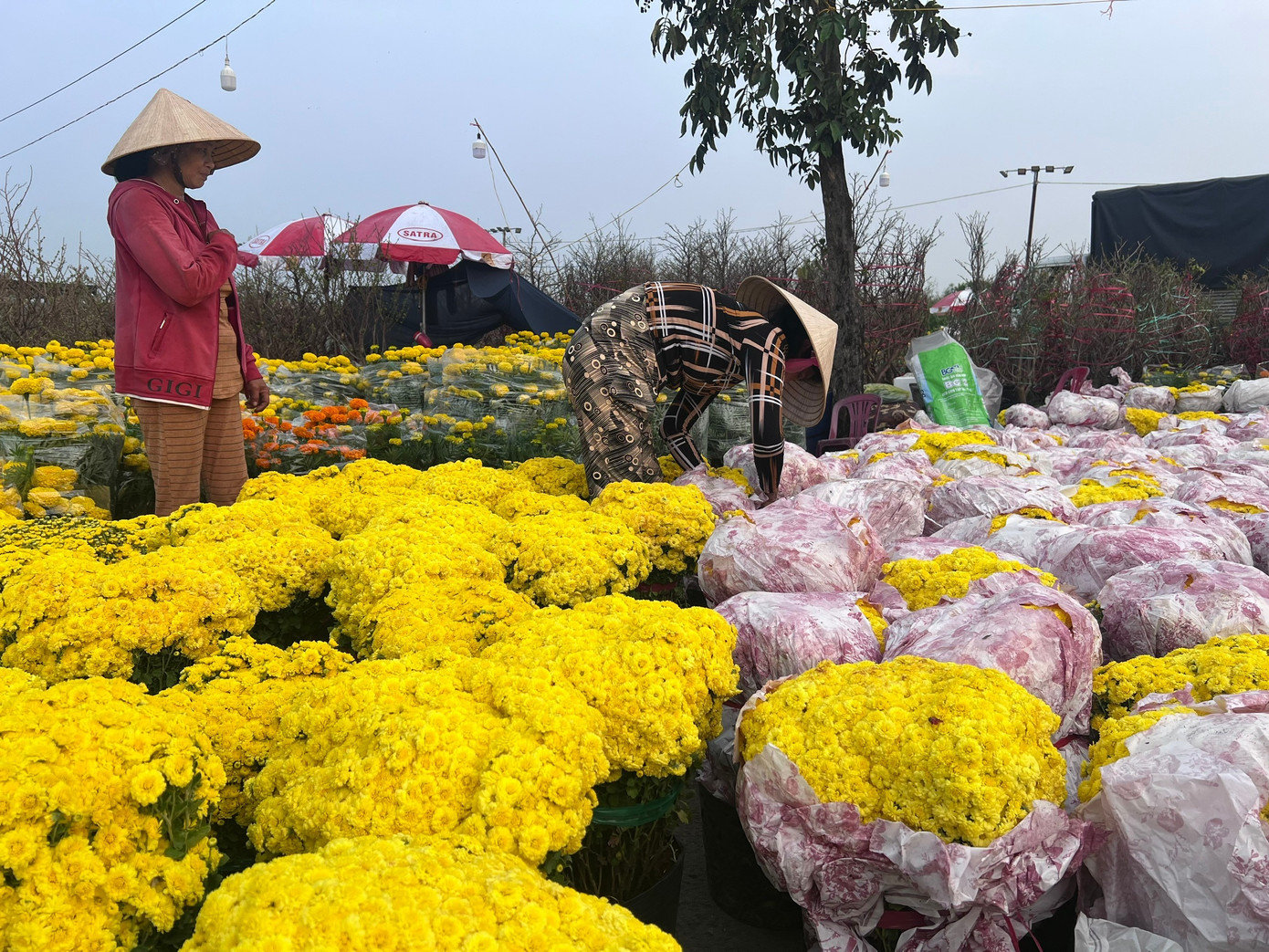 hoa-tet-uyen-phuong-5.jpg