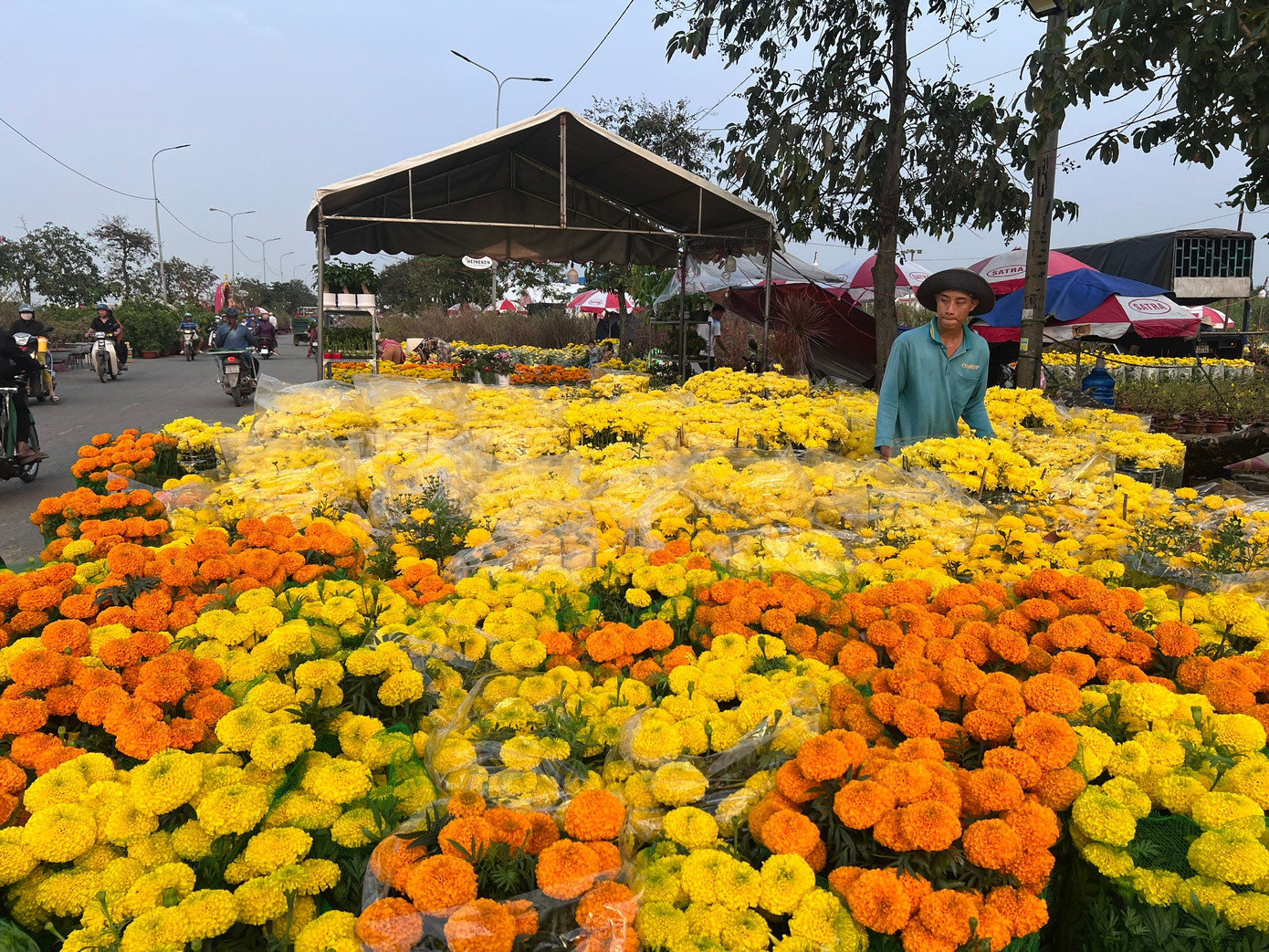 hoa-tet-uyen-phuong-1.jpg