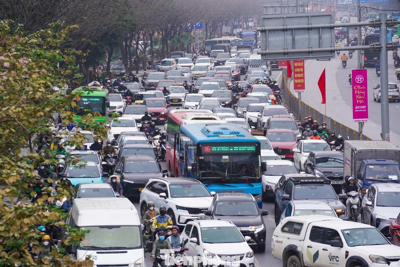 tp-baotienphong-491.jpg
