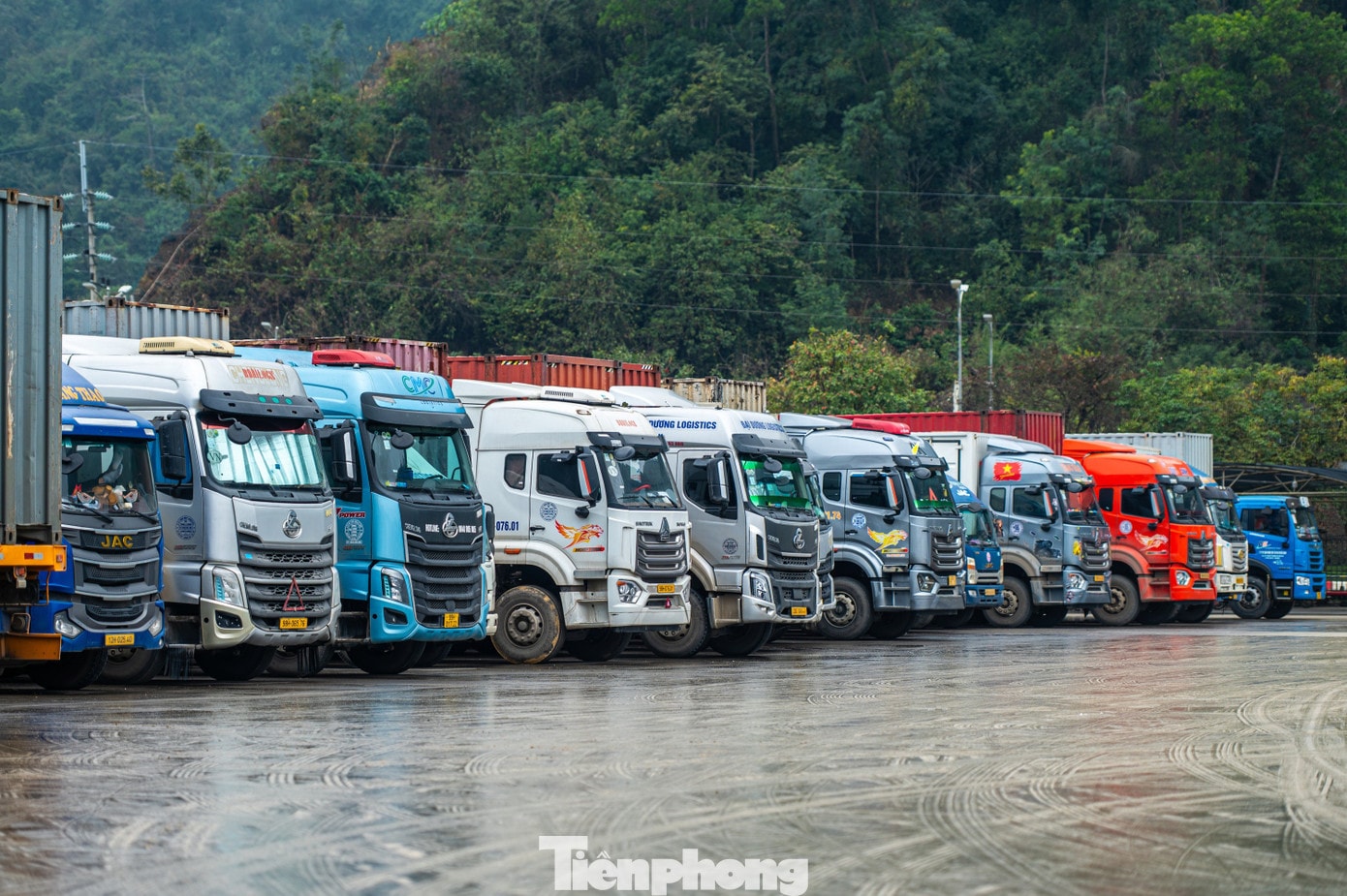 tp-quocnam-z62-9617.jpg