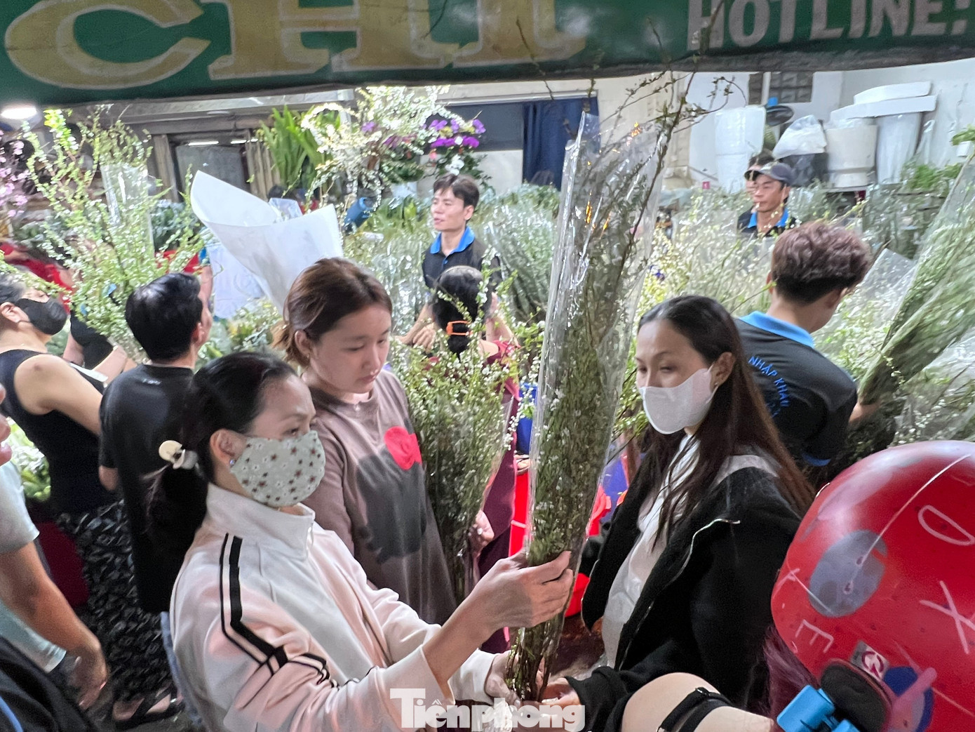 tp-hoa-dem-uyen-phuong-3.jpg