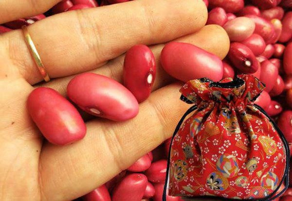 Đậu đỏ gắn với ý nghĩa cát lành và sự bền bỉ. Ảnh minh họa.