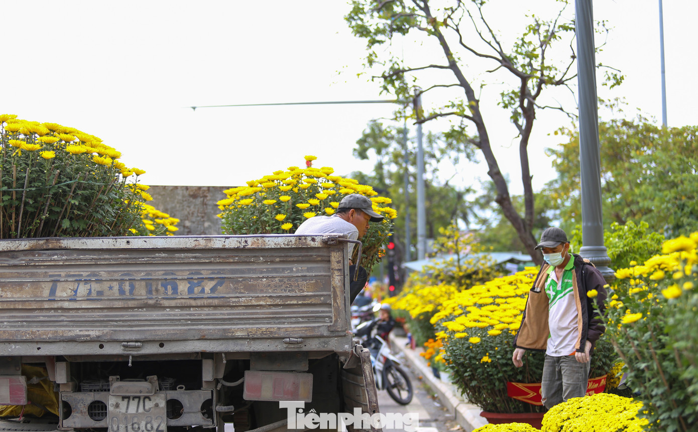 tp-c_img-5096.jpg