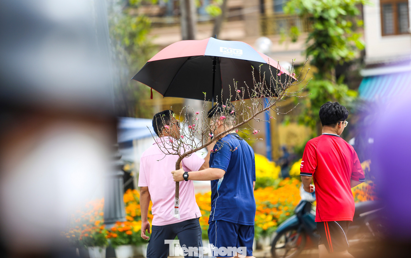 Người dân tranh thủ dạo quanh “đường hoa” Nguyễn Tất Thành, vừa ngắm sắc mai, cúc, đào rực rỡ vừa chọn cho gia đình những cành hoa ưng ý chưng Tết. tp-c_img-5104.jpg