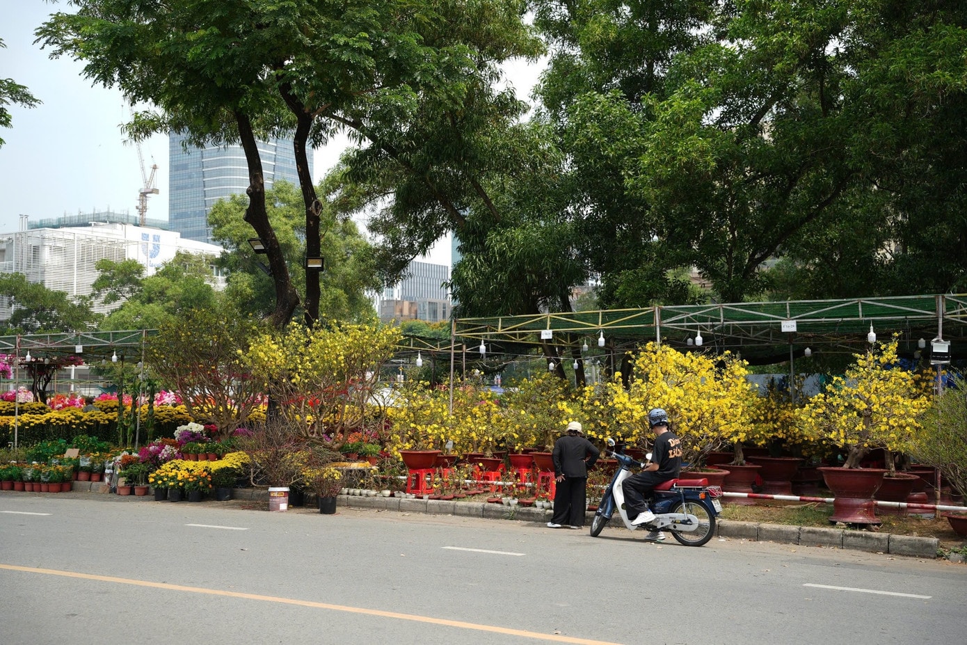 Hoa Tết tràn ngập mọi nẻo đường ở TPHCM. z7536277390171-d77b593205515a1caf4e6e3cc1e3d8d1.jpg