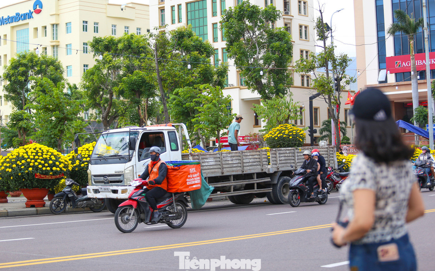 tp-c_img-5059.jpg