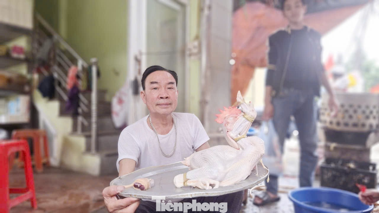tp-g2.jpg