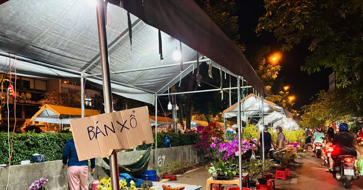 Từ tối 28 Tết, chợ hoa ở TPHCM đồng loạt 'xả hàng' giảm giá 30–70%