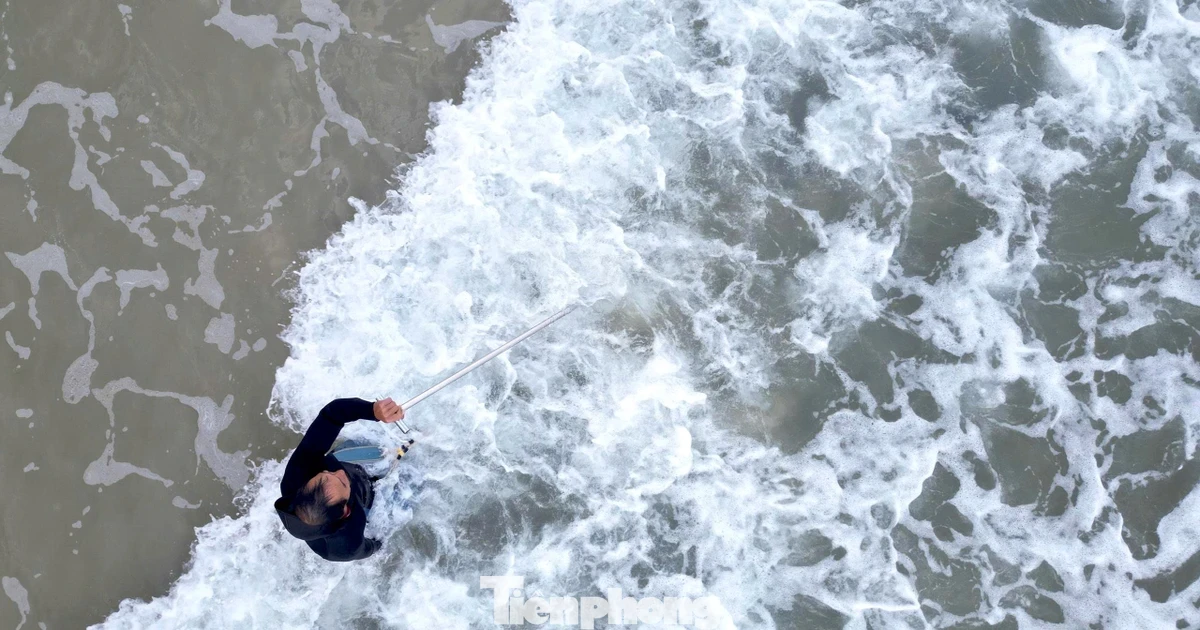 Đi giật lùi cào ốc ruốc cuối năm, ngư dân Đà Nẵng kiếm tiền triệu