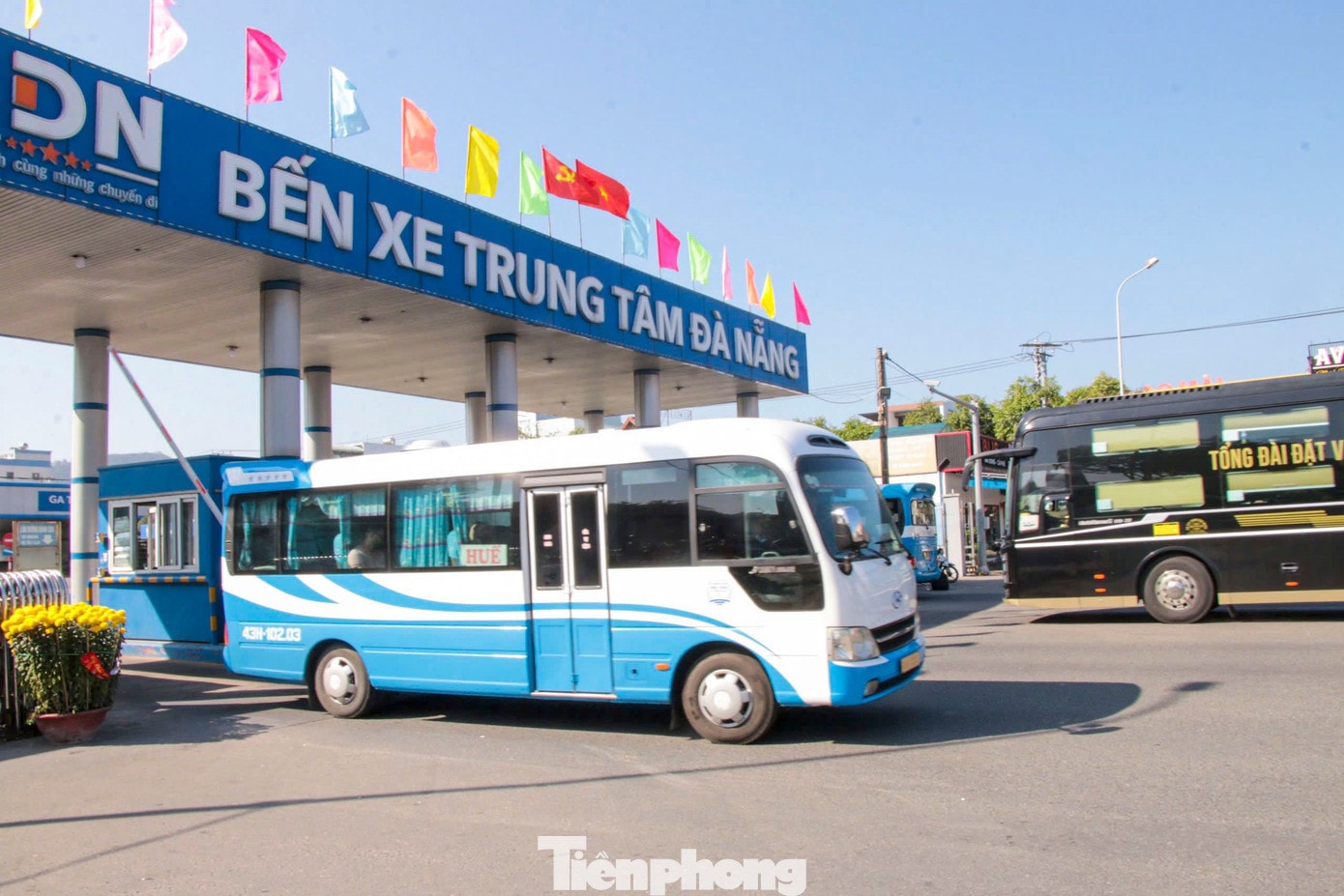 tp-bxdntet-6.jpg
