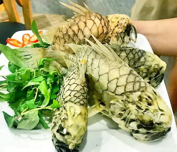 Cá gì tên như trái cây, thân dày, vảy lớn như 'chiến binh', giá tới 500.000 đồng/kg vẫn khó mua?