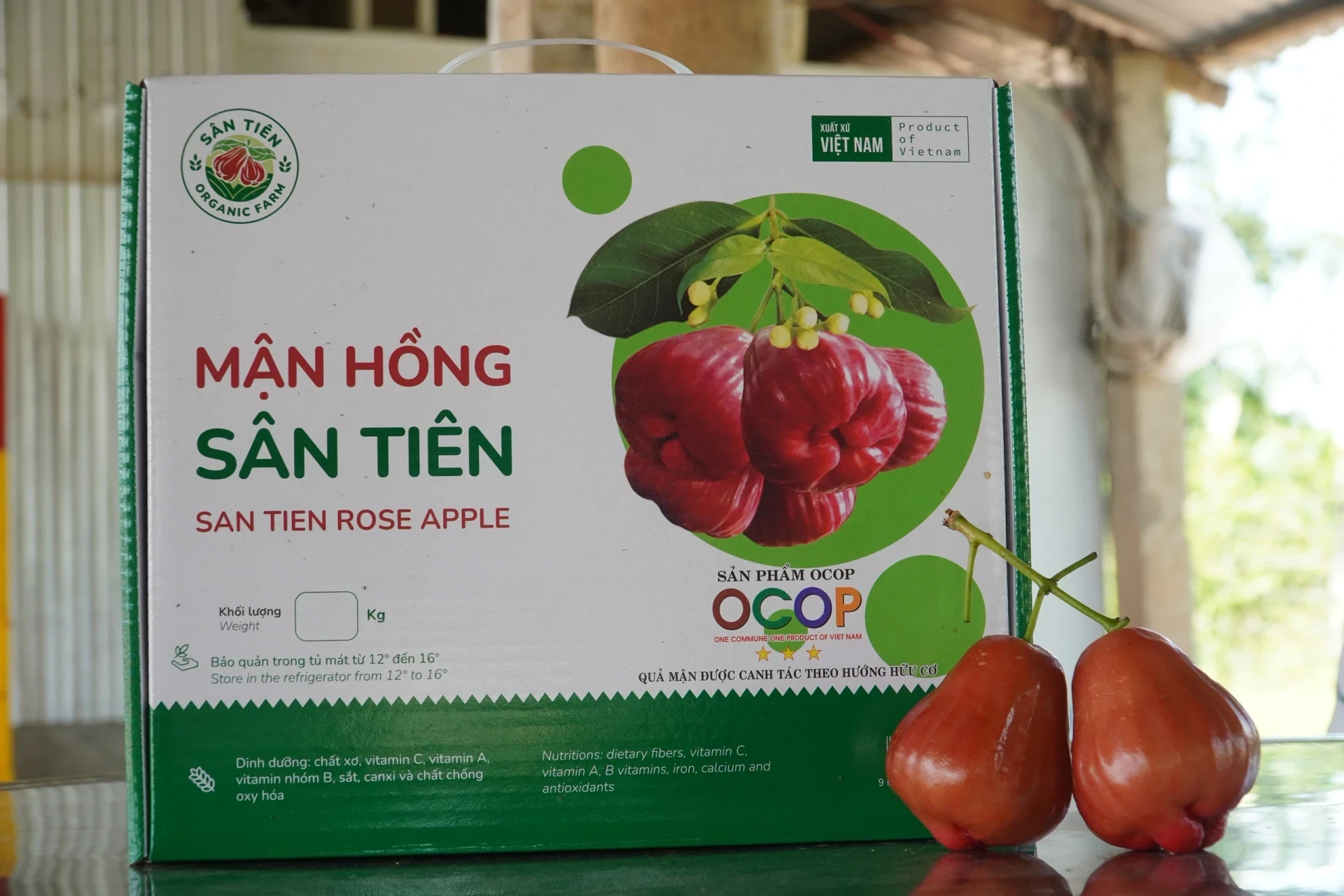 anh-3-17532405715571995090355.webp