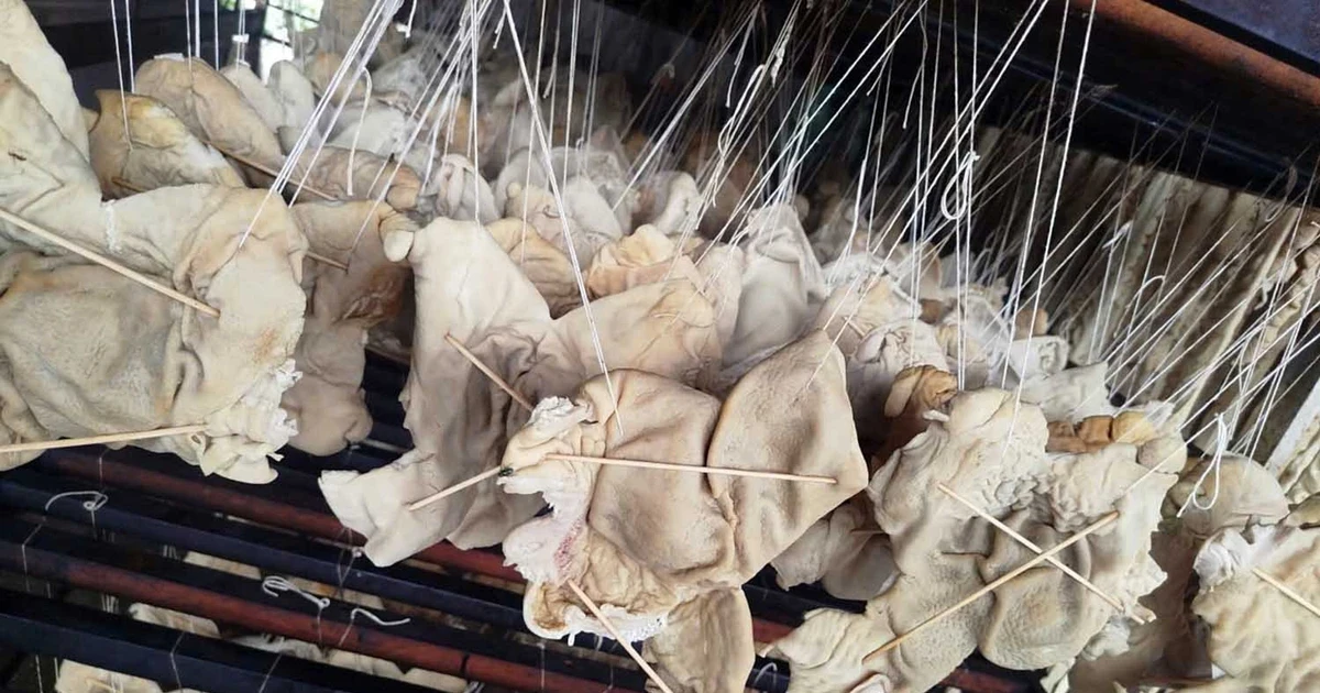 Hơn 55 tấn lòng, dạ dày và chân gà không rõ nguồn gốc trong kho doanh nghiệp ở Hải Phòng Hơn 55 tấn lòng, dạ dày và chân gà không rõ nguồn gốc trong kho doanh nghiệp ở Hải Phòng