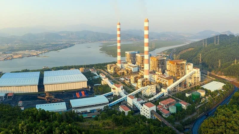 Phó Tổng Giám đốc Nhiệt điện Quảng Ninh (QTP) bị khởi tố, bắt tạm giam: Chủ tịch doanh nghiệp lên tiếng