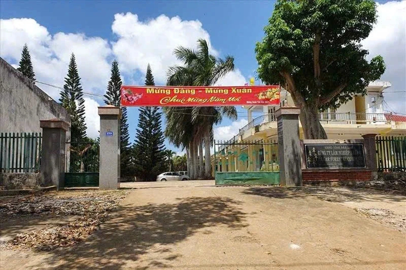 Bắt tạm giam một Giám đốc công ty lâm nghiệp