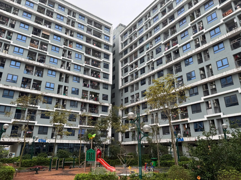 Chỉ đạo, điều hành của Chính phủ, Thủ tướng Chính phủ nổi bật tuần từ 20-27/2/2026- Ảnh 2. Chỉ đạo, điều hành của Chính phủ, Thủ tướng Chính phủ nổi bật tuần từ 20-27/2/2026- Ảnh 2.