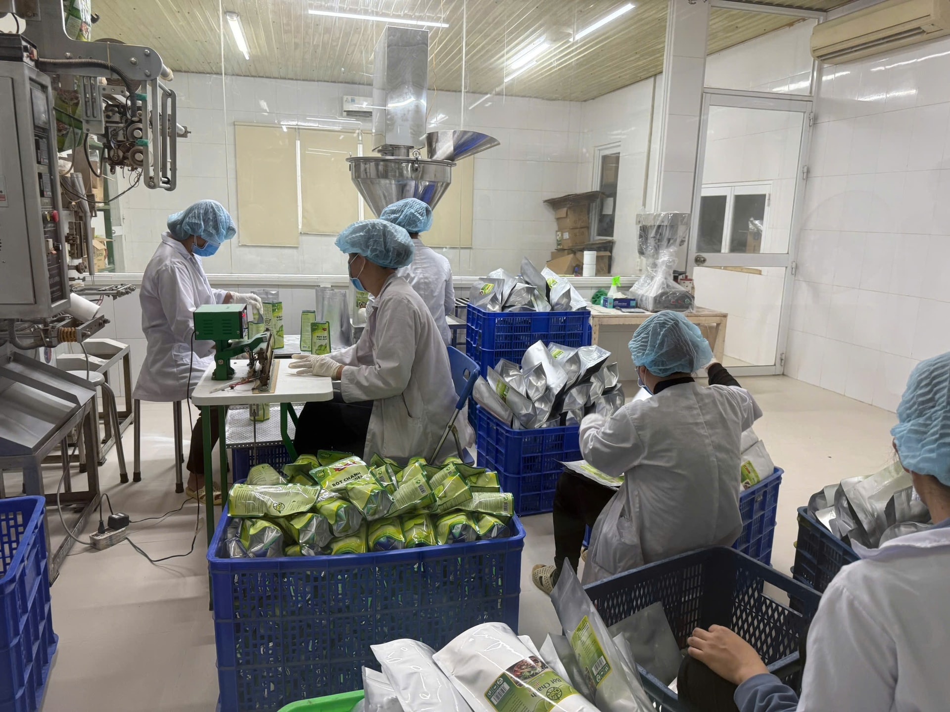 Xuất khẩu nông lâm thủy sản: Nhiều ngành hàng tăng tốc, mở rộng thị phần- Ảnh 1.