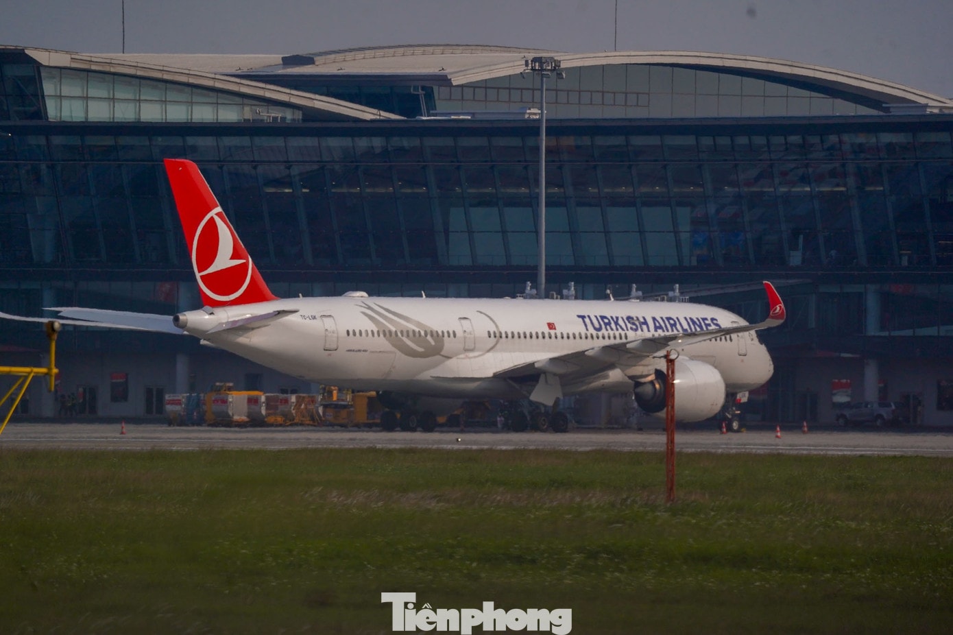 tp-d16.jpg