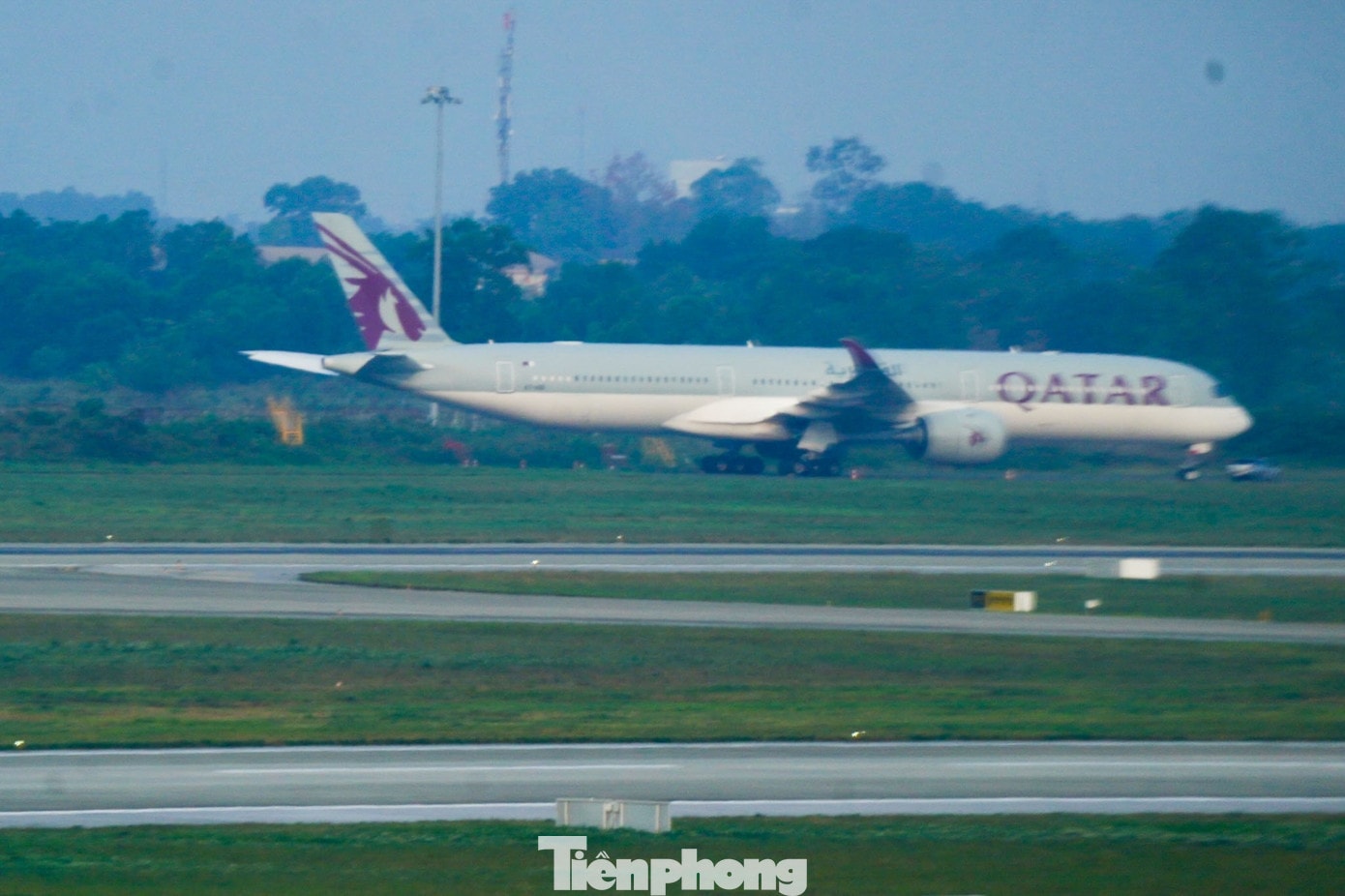 tp-d17.jpg