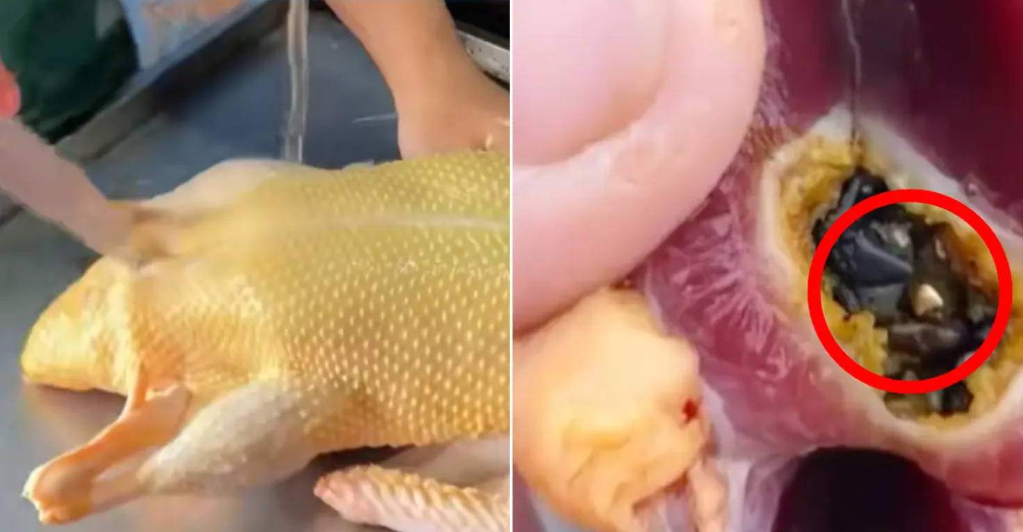 Mổ vịt làm thịt, người đàn ông ngỡ ngàng phát hiện 10g vàng thật trong bụng