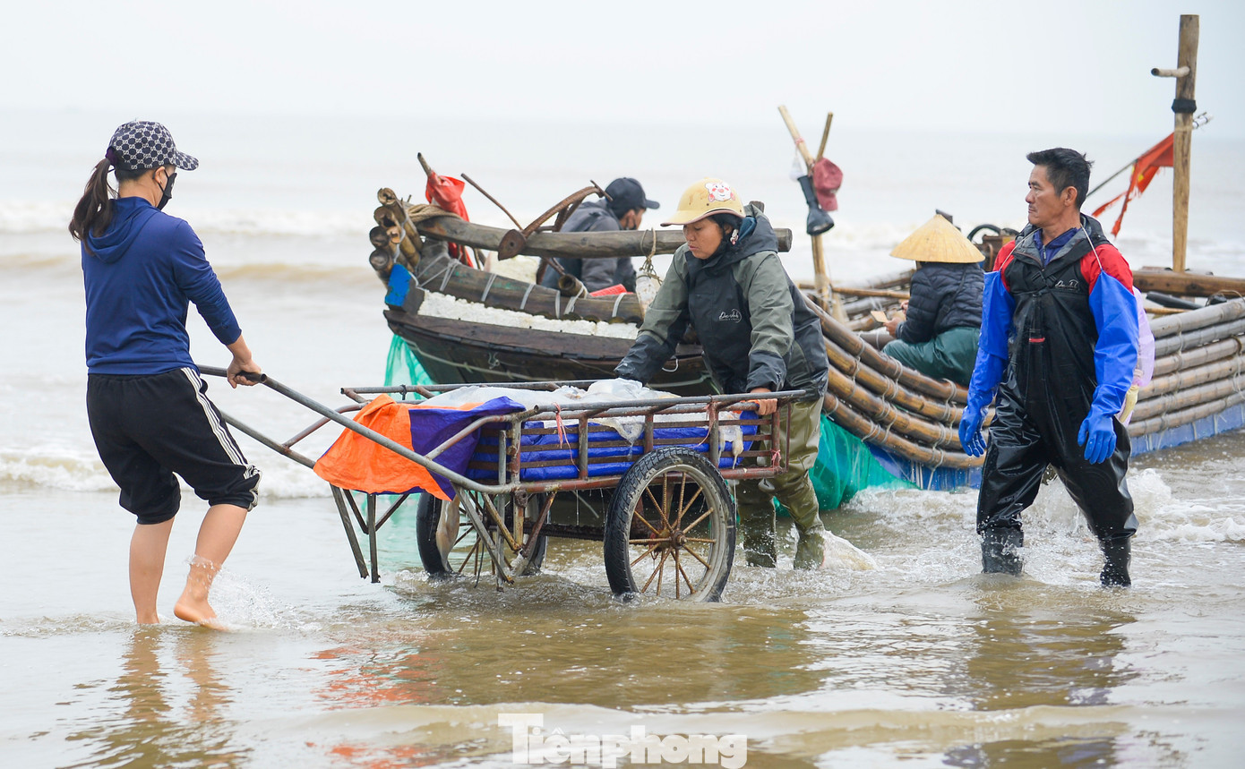 Mỗi chuyến biển thường bắt đầu từ khoảng 4h sáng và kéo dài đến 8h-9h thì trở về. Trung bình mỗi ngày, một thuyền có thể ra khơi 2-3 chuyến.. tp-5.jpg