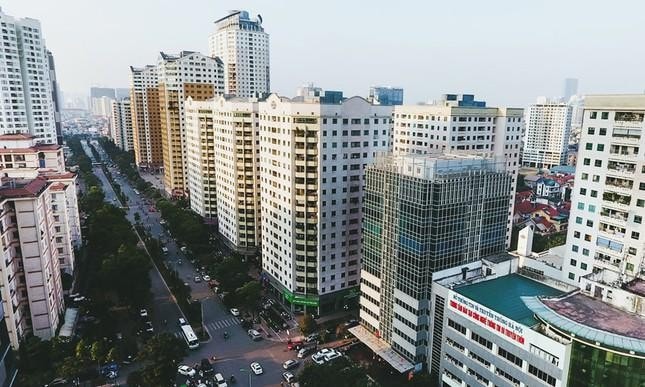 cao-oc-chen-lan-tren-truc-duong-huong-tam-fkbx-3724.jpg