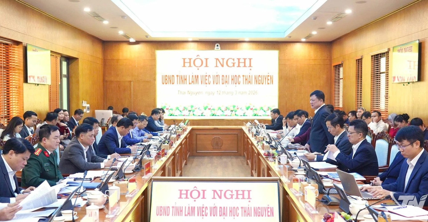 dai-hoc-2-20260312153129.jpg