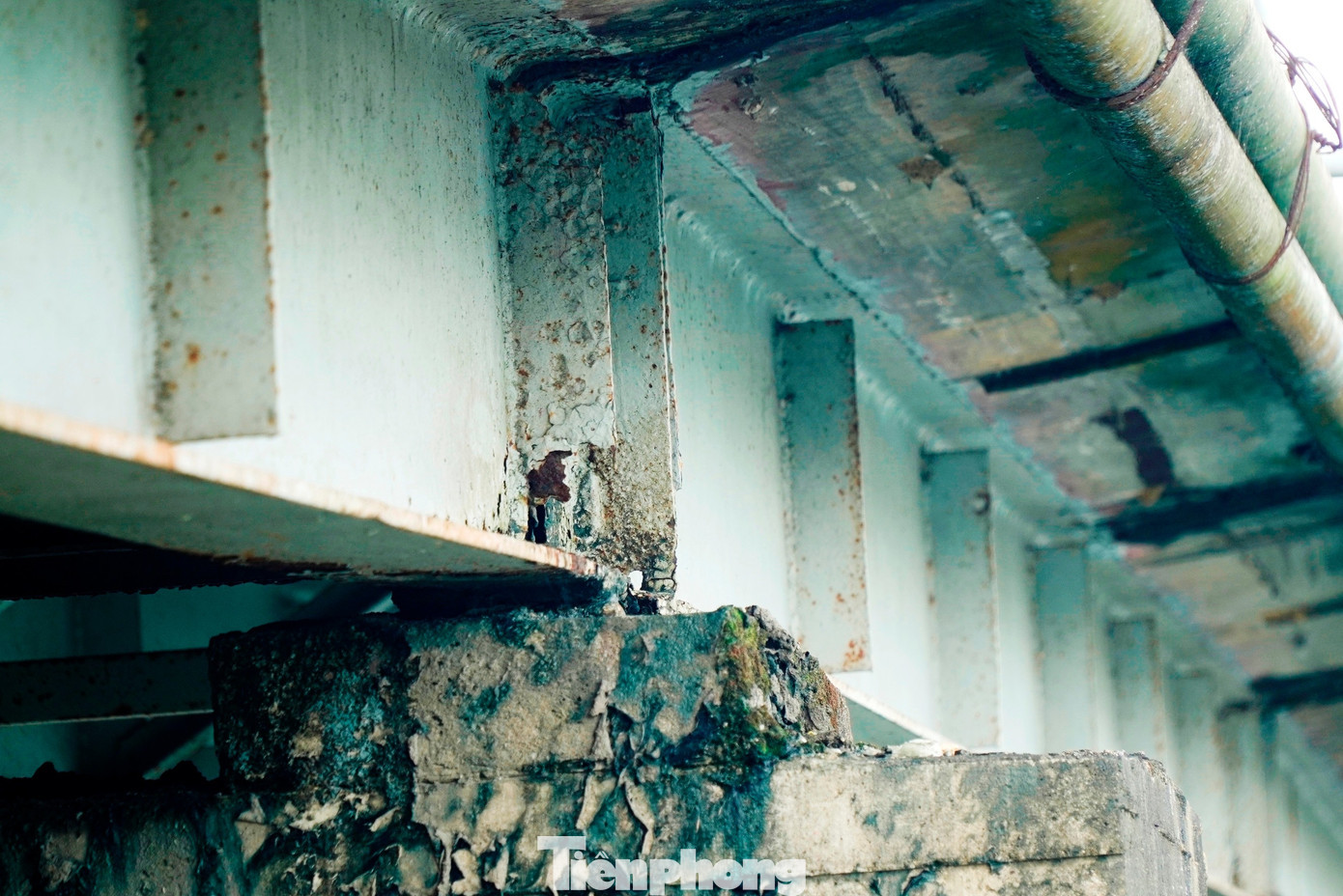tp-7-cau-thanh-ha-1.jpg