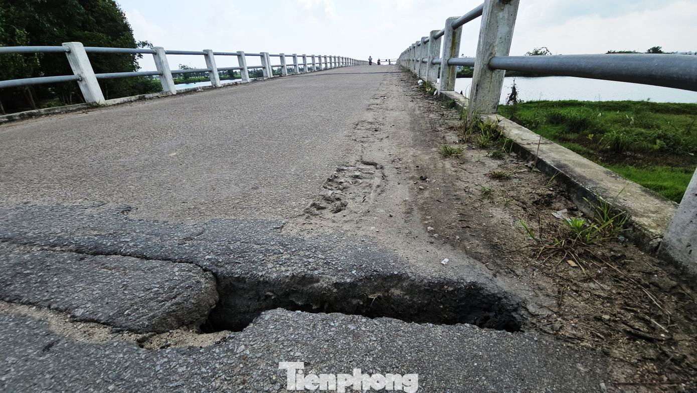 tp-5-cau-thanh-ha-1.jpg