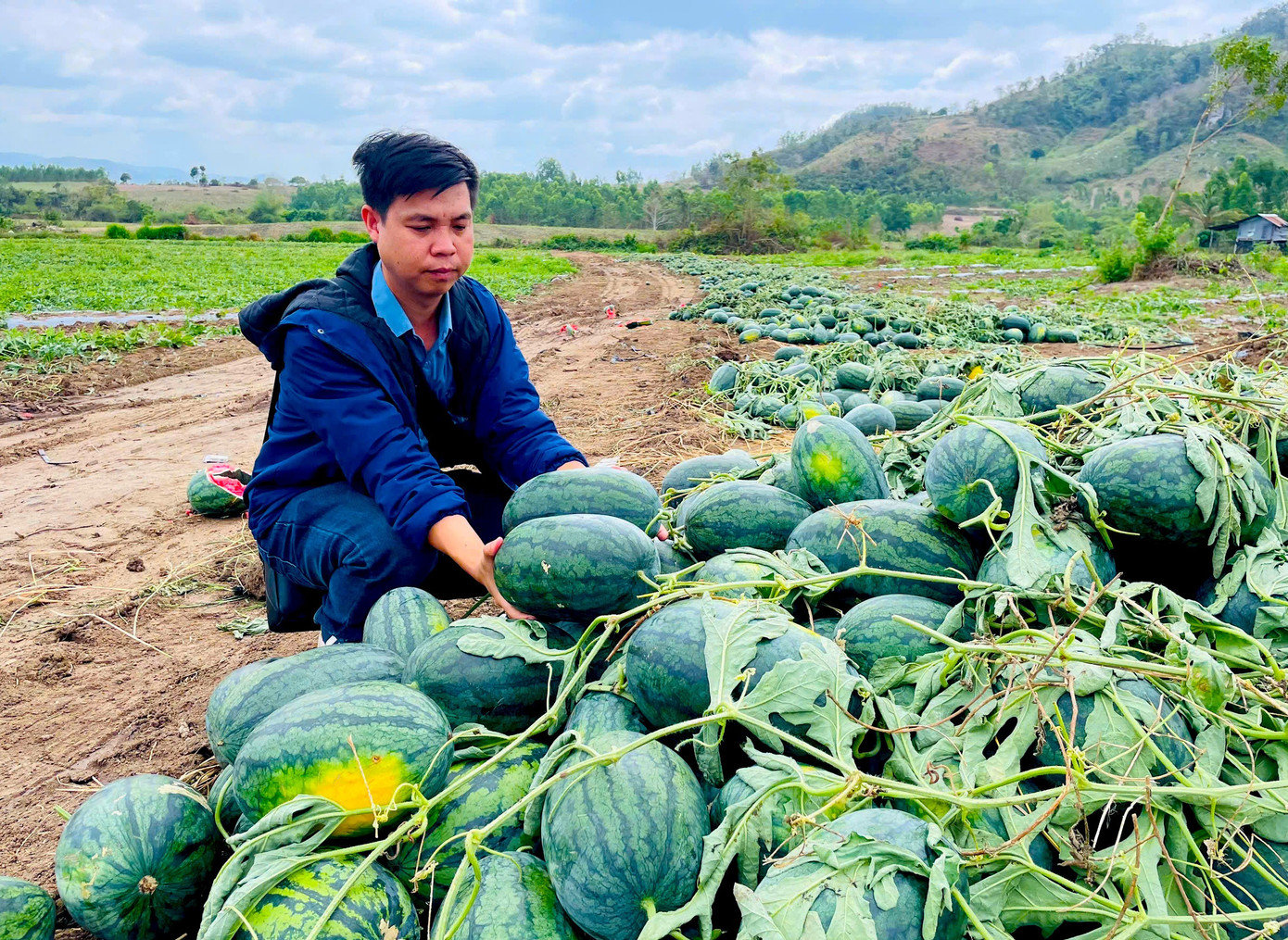 tien-phong-9543.jpg